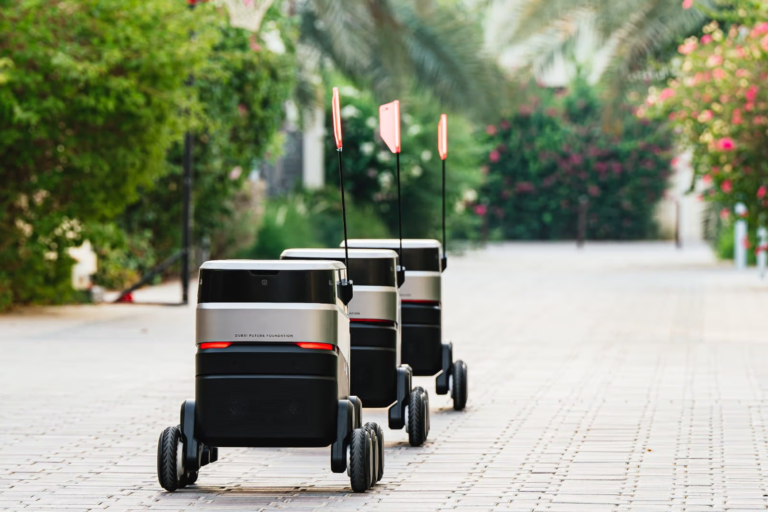 Prepare to respond to a Dubai delivery robot, which may be on its way to deliver your purchases.